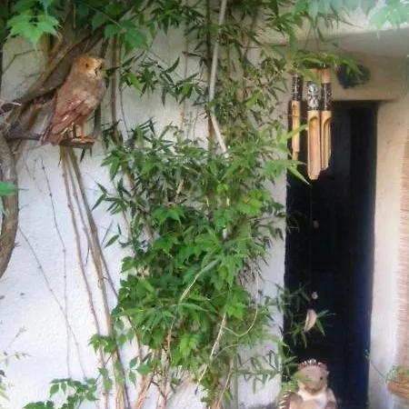 Kalamitsi Studios