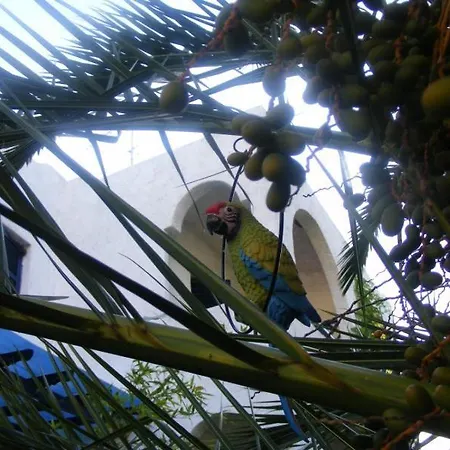 Kalamitsi Studios Appartamento