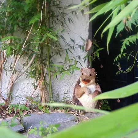 Kalamitsi Studios Апартаменты Каламици