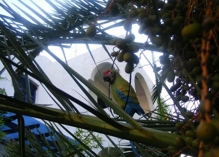 Kalamitsi Studios Apartment